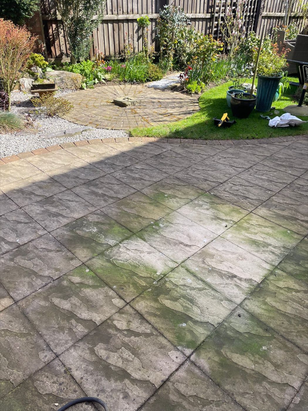 Green, algae-covered patio before pressure washing