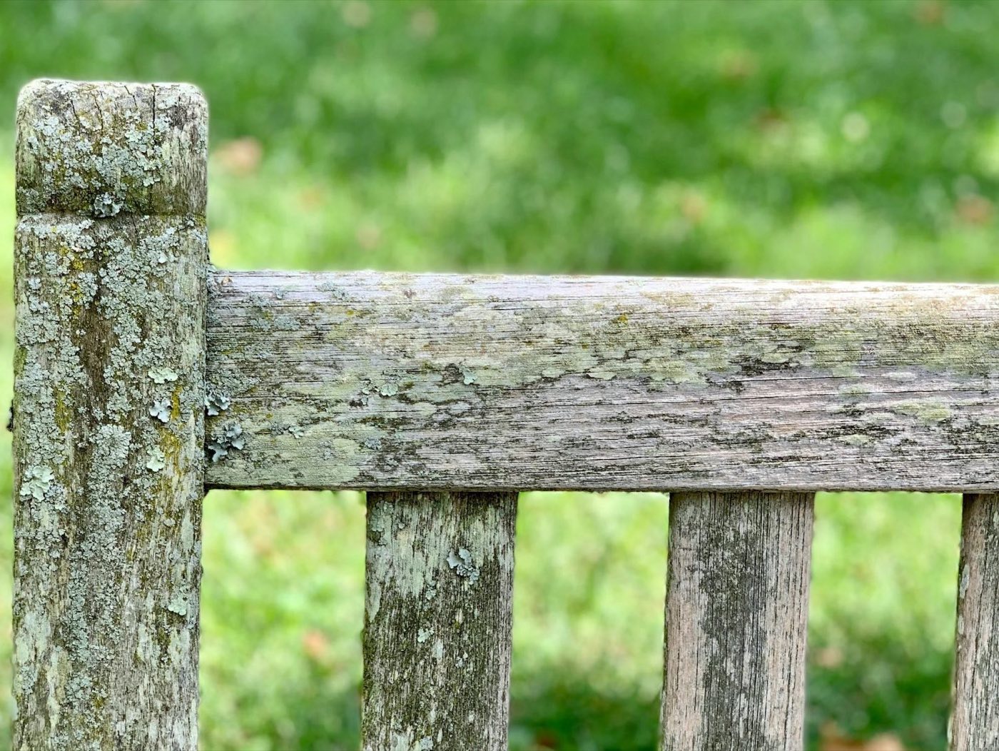 Decking & wood restoration