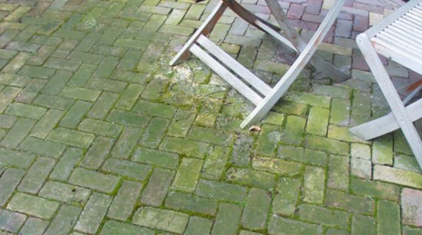 Moss on block paving